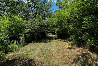 Teren intravilan de 6857 mp, în Bujoreni
