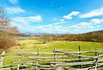 Teren Construcții intravilan de 8200 mp, în Câmpina - 1
