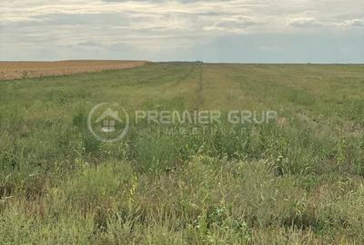 Teren agricol extravilan de 7200 mp, în Horlești (Rediu) - 4