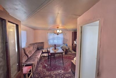 Casă cu 2 camere cu Teren 4887 Mp în Dăbâca - 12
