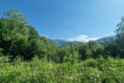 Teren Construcții intravilan de 831 mp, în Pietroasa - 2