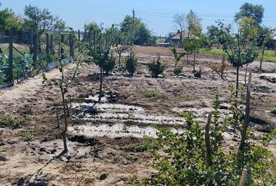 Casă cu 4 camere cu Teren 1700 Mp în Largu