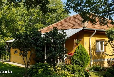 Casă cu 2 camere cu Teren 3026 Mp în Movilița - 4