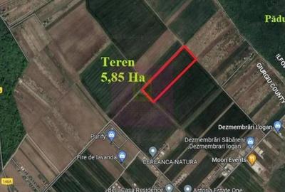 Teren de 58500 mp, în Săbăreni
