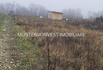 Teren de 935 mp, în Moșoaia - 3