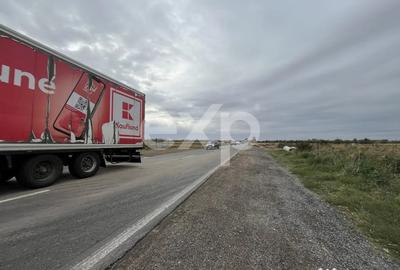 Teren de 15000 mp, în Sud