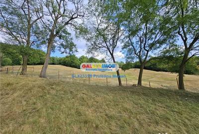 Teren de 2700 mp, în Curtea de Argeș - 2