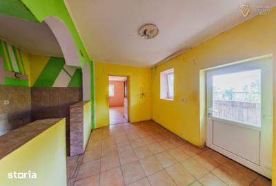 Casă cu 5 camere cu Teren 1065 Mp în Vladimirescu