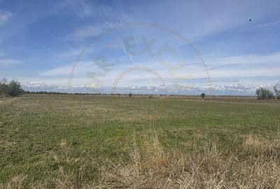 Teren Construcții intravilan de 3700 mp, în Rătești - 1