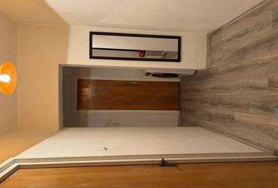 Apartament cu 3 camere decomandat în Tineretului - 3