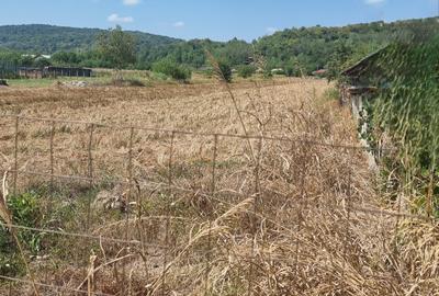 Teren Construcții intravilan de 5236 mp, în Mihăești - 2