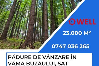 Teren de 23000 mp, în Vama Buzăului - 8