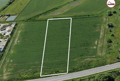 Teren Construcții intravilan de 6500 mp, în Colonia Bod - 1