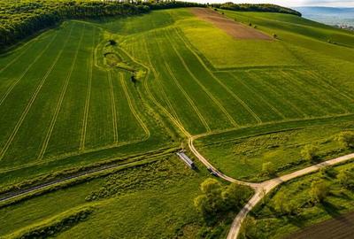 Teren extravilan de 23669 mp, în Sângeorgiu de Mureș - 4