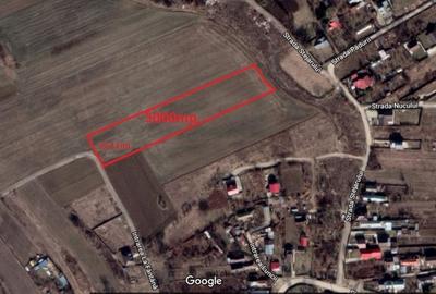Teren Construcții intravilan de 5000 mp, în Țegheș - 1