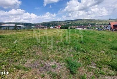 Teren de 1705 mp, în Chinteni