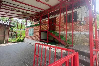 Casă cu 3 camere cu Teren 476 Mp în Plai - 4