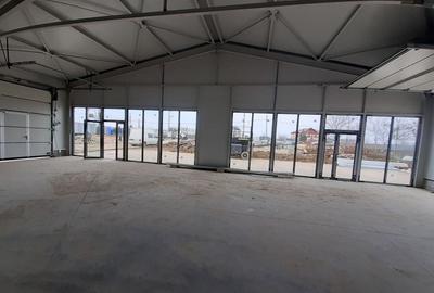 Spațiu industrial, de 200 mp, în Theodor Pallady - 3