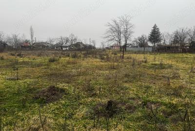 Spațiu comercial, în Alexandriei