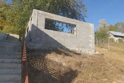 Casă cu 5 camere cu Teren 3519 Mp în Agăș