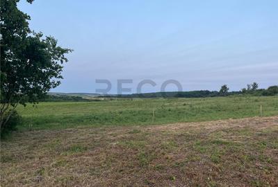 Teren de 903 mp, în Paleu - 4
