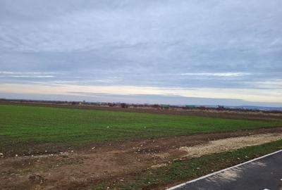 Teren Construcții intravilan de 3250 mp, în Nufărul - 1