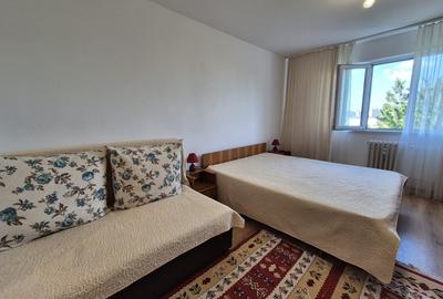 Garsonieră nedecomandată, mobilată în Inel II - 1