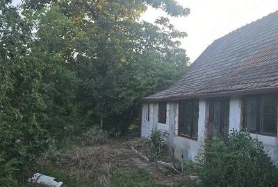 Casă cu Teren 1400 Mp în Dorobanți - 2