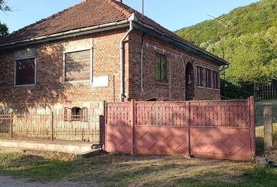 Casă cu 4 camere cu Teren 7400 Mp în Aciuța - 6