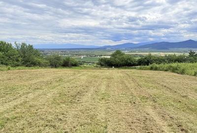 Teren de 1500 mp, în Cristian - 4