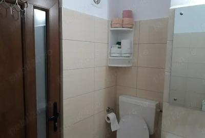 Apartament cu 2 camere decomandat în Sud - 10