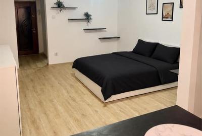 Garsonieră, mobilată în Brazda lui Novac