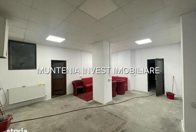Spațiu industrial, de 180 mp, în Prundu