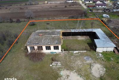 Teren de 3500 mp, în Vadu Pașii - 7