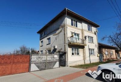 Casă cu 7 camere cu Teren 3839 Mp în Borș - 4