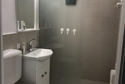 Apartament cu 2 camere în Grigorescu - 14