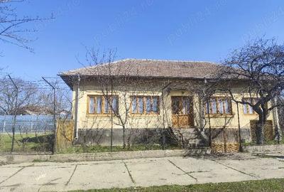 Casă cu Teren 4208 Mp în Giurgița
