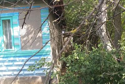 Casă cu 4 camere cu Teren 5000 Mp în Drăgănești - 10