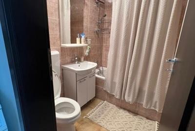 Apartament cu 3 camere semidecomandat, mobilat în Podu Roș - 9