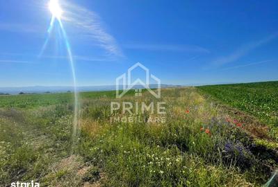 Teren de 2700 mp, în Central