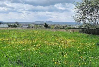 Teren de 2950 mp, în Vârfu Câmpului - 3