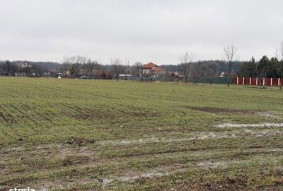 Teren de 1127 mp, în Snagov