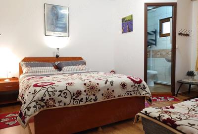 Spațiu comercial, de 46 mp, în Central - 3