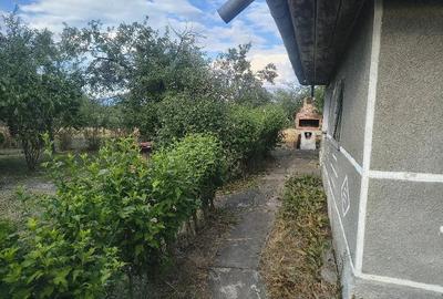 Teren de 6000 mp, în Bocsig