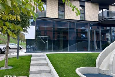 Spațiu comercial, de 130 mp, în Bucium - 3