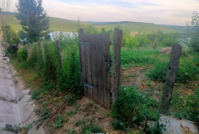 Teren de 1550 mp, în Buznea - 7