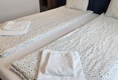 Apartament cu 2 camere decomandat, mobilat în Iosefin - 5