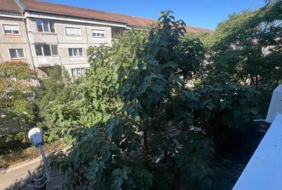 Apartament cu 3 camere decomandat în Rogerius - 8