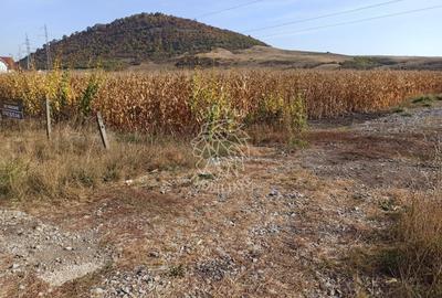 Teren agricol extravilan de 770 mp, în Sărata - 6