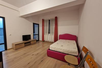 Garsonieră decomandată, mobilată în Nicolina - 11